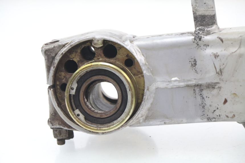 photo de SWING ARM APRILIA RS AF-1 125 (1990 - 1993)