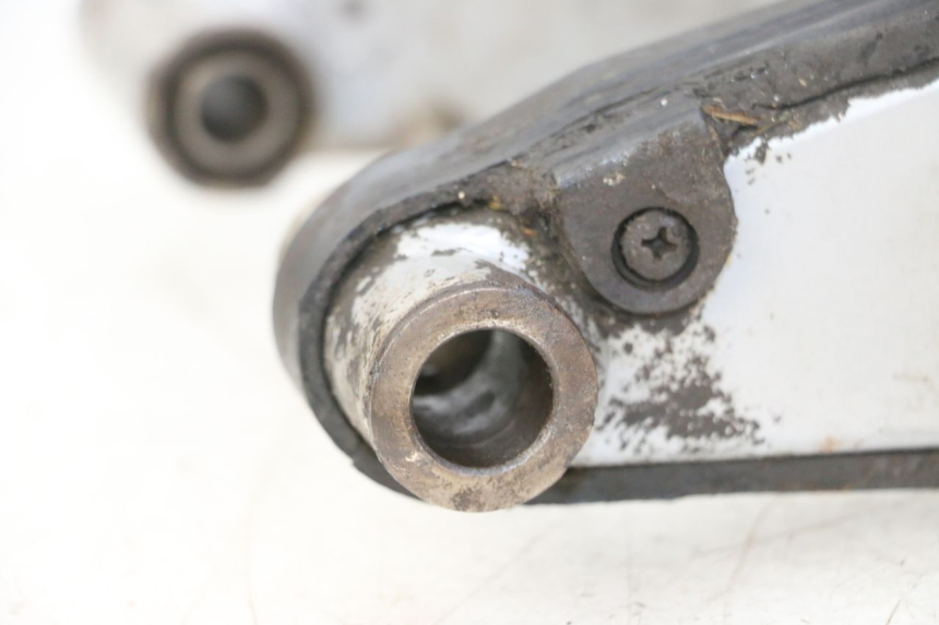 photo de SWING ARM DERBI SENDA SM DRD 50 (2008 - 2013)