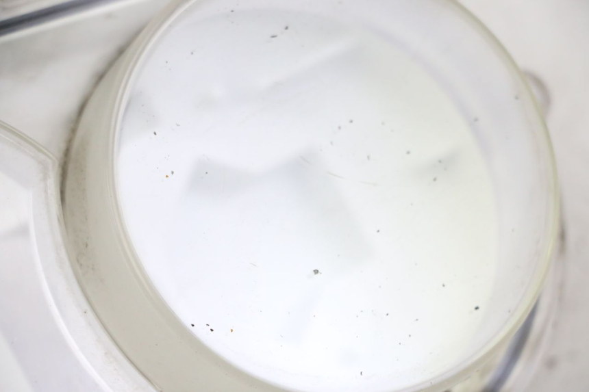 photo de SPEEDOMETER LENSE PEUGEOT SATELIS 250 (2006 - 2012)