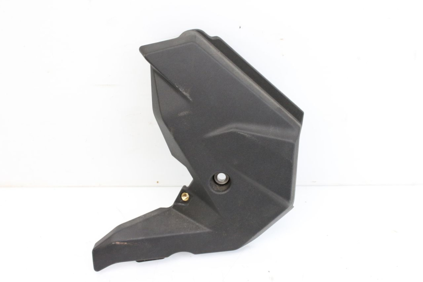 photo de RIGHT SIDE FRAME COVER BMW F GS K81 850 (2018 - 2023)