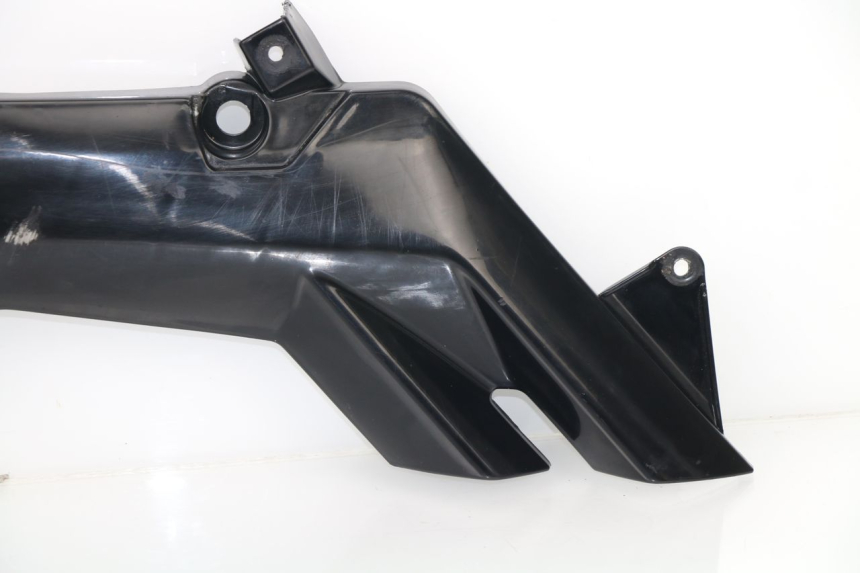photo de RIGHT SIDE FRAME COVER RIEJU RS3 50 (2010 - 2018)