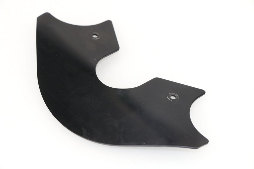 photo de FORK PANEL DUCATI MONSTER IE M695 695 (2006 - 2007)