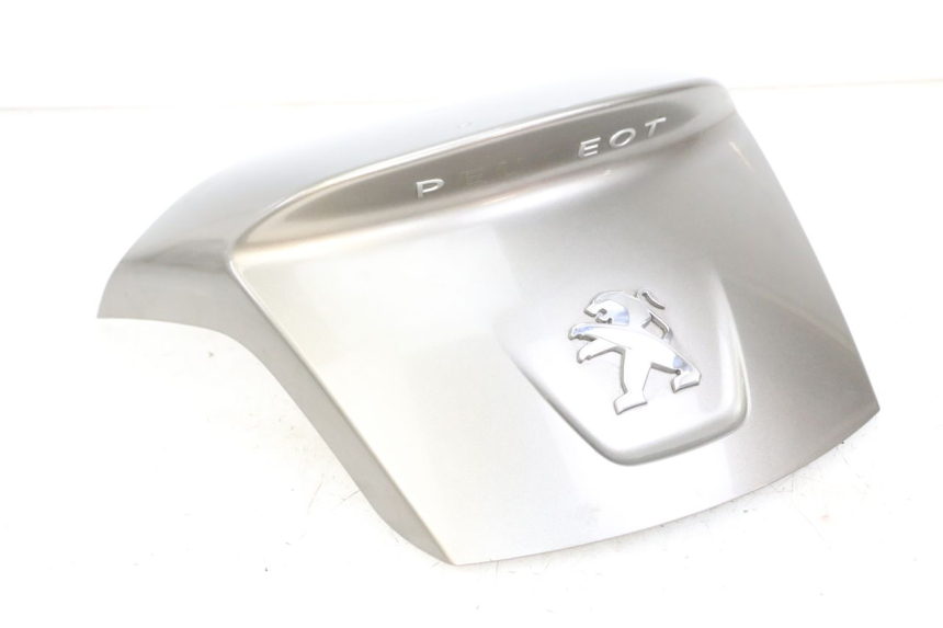 photo de REAR PANEL PEUGEOT SATELIS 125 (2013 - 2018)