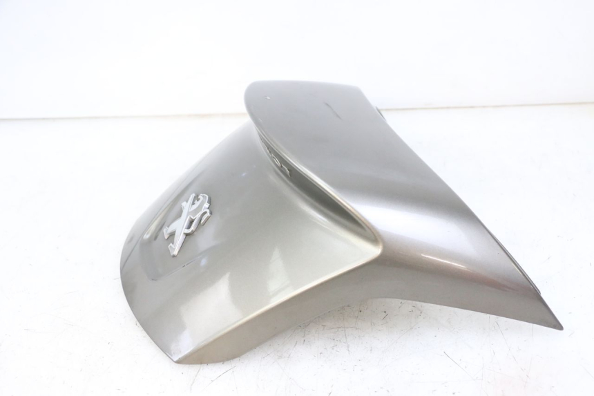 photo de REAR PANEL PEUGEOT SATELIS 125 (2013 - 2018)