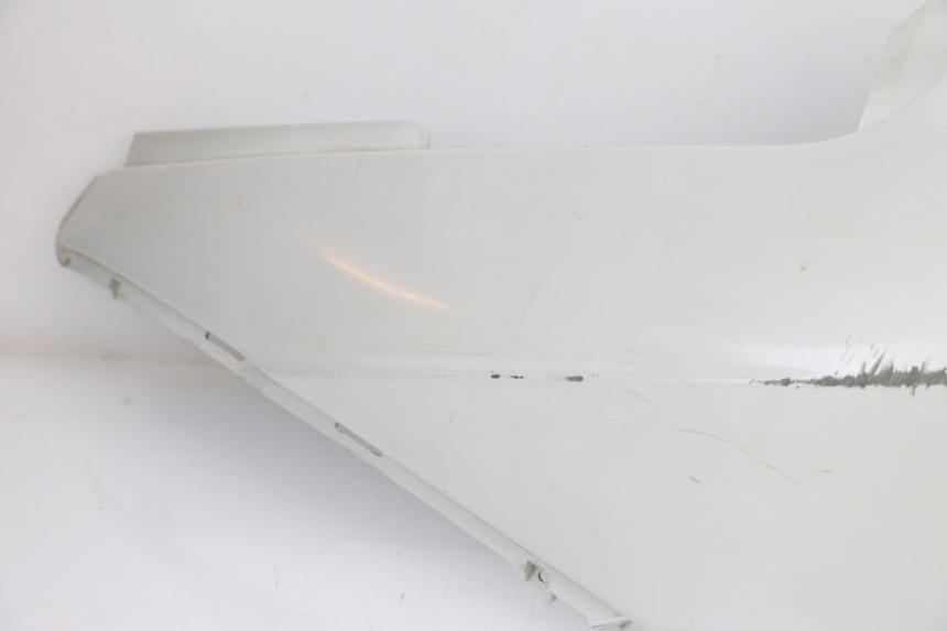photo de REAR PANEL DAELIM S2 FI 125 (2008 - 2017)