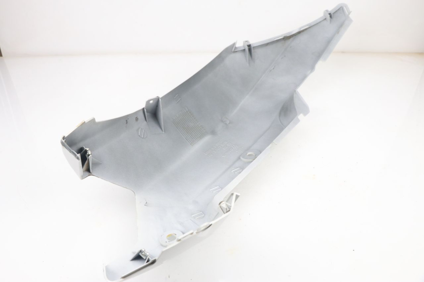 photo de REAR PANEL DAELIM S2 FI 125 (2008 - 2017)