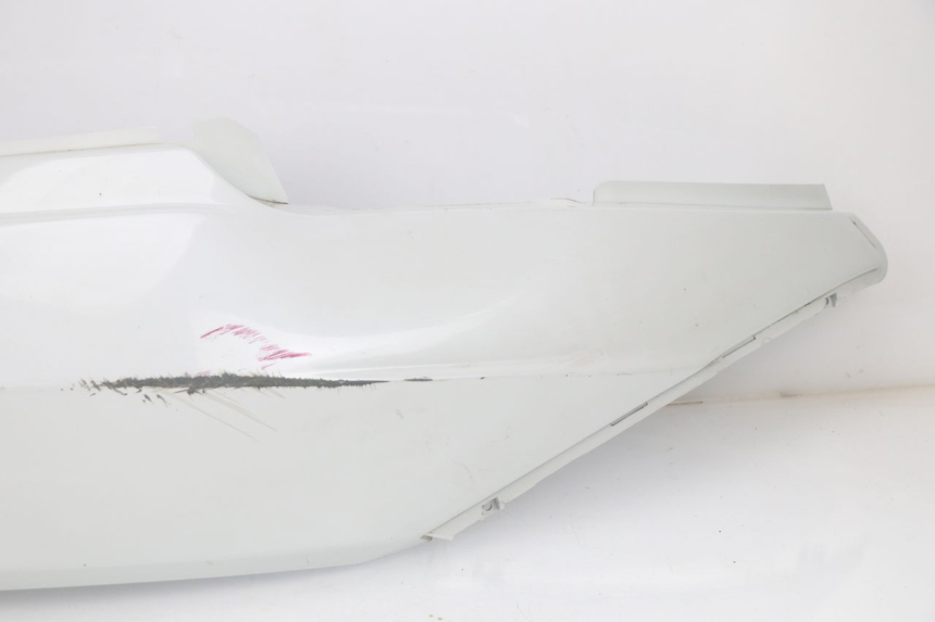 photo de REAR PANEL DAELIM S2 FI 125 (2008 - 2017)