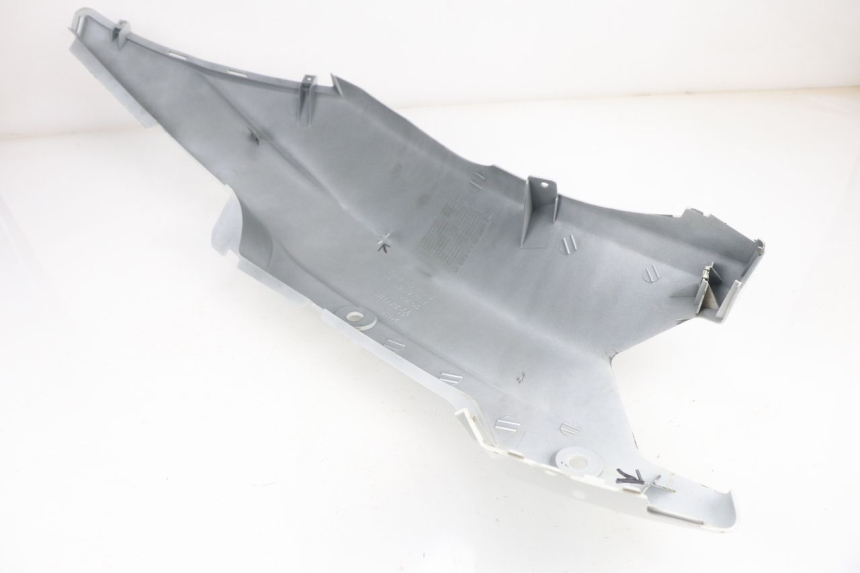photo de REAR PANEL DAELIM S2 FI 125 (2008 - 2017)