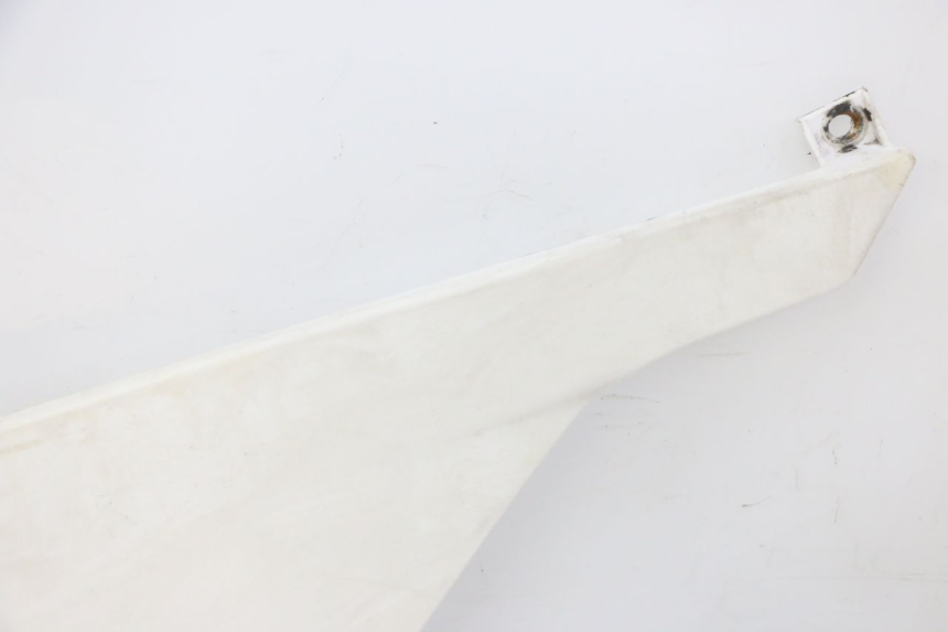 photo de REAR PANEL DERBI SENDA SM DRD 50 (2008 - 2013)