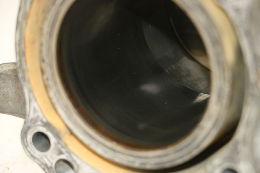 photo de ENGINE CRANKCASE HONDA CBR RR FIREBLADE 900 (1992 - 1994)