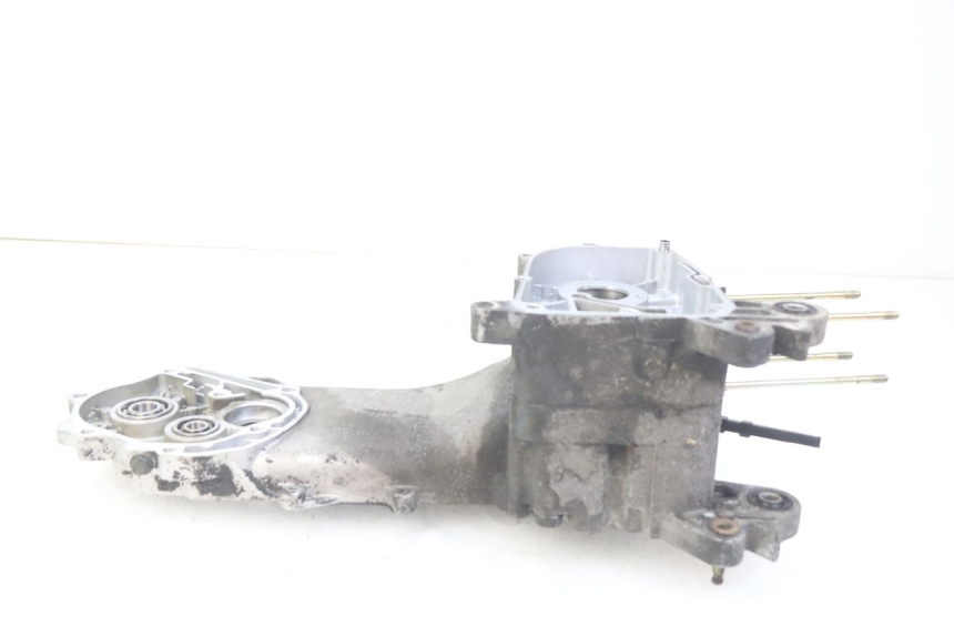 photo de ENGINE LOWER CASING LONGJIA DIGITA 4T 50 (2019 - 2022)