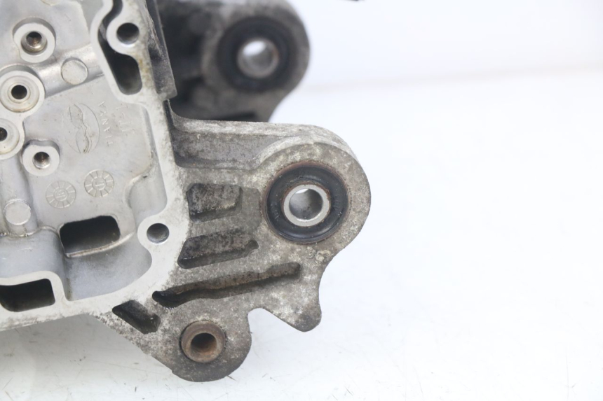 photo de ENGINE LOWER CASING LONGJIA DIGITA 4T 50 (2019 - 2022)