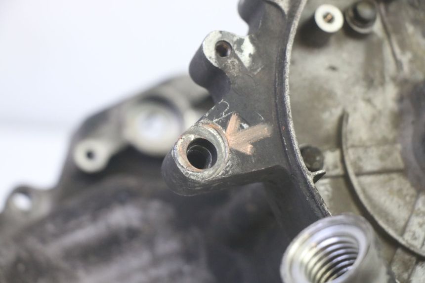 photo de ENGINE LOWER CASING LONGJIA DIGITA 4T 50 (2019 - 2022) - Technical close-up