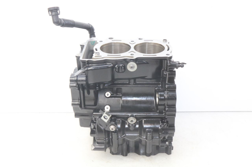 photo de ENGINE CRANKCASE BMW F GS K81 850 (2018 - 2023)