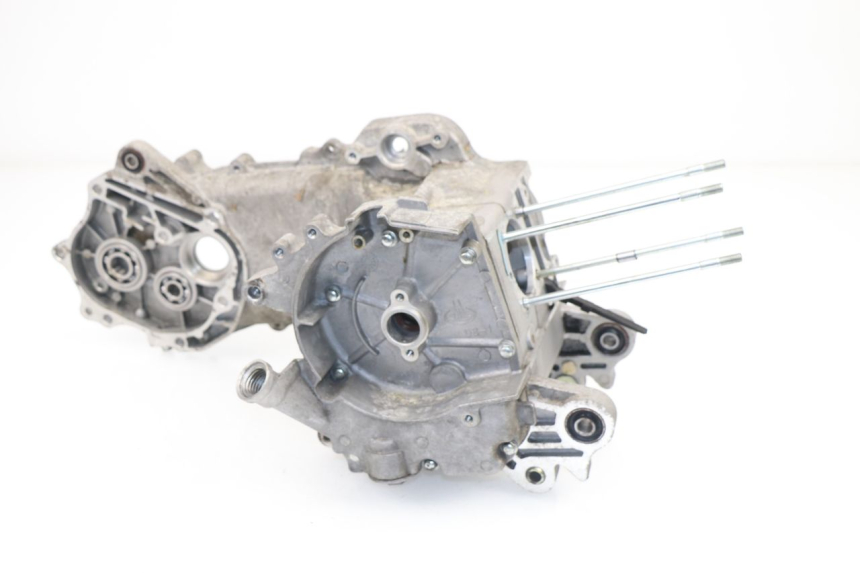 photo de ENGINE CRANKCASE SAMPO LY50QT-21 50 (2009 - 2014)