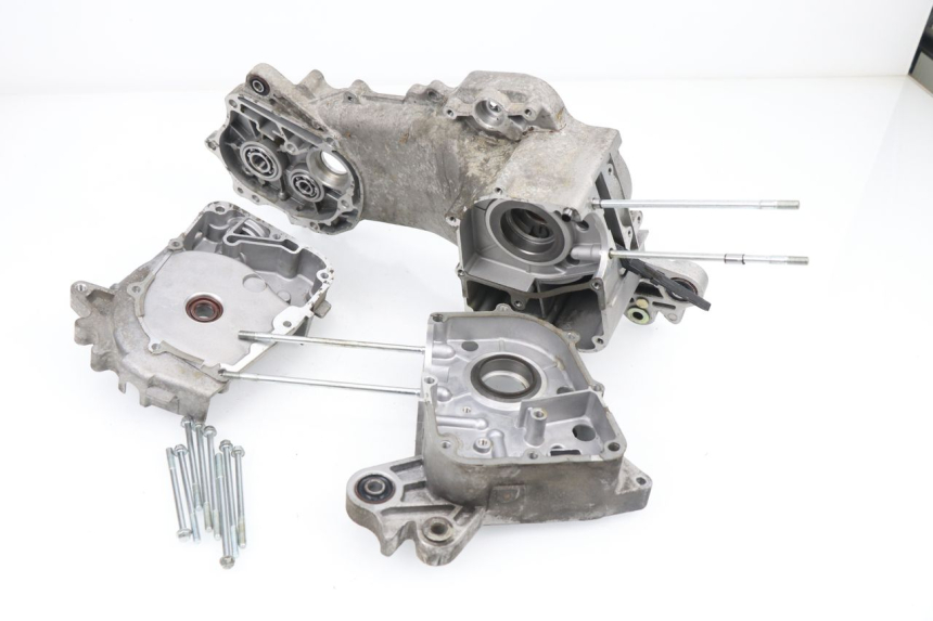 photo de ENGINE CRANKCASE SAMPO LY50QT-21 50 (2009 - 2014)