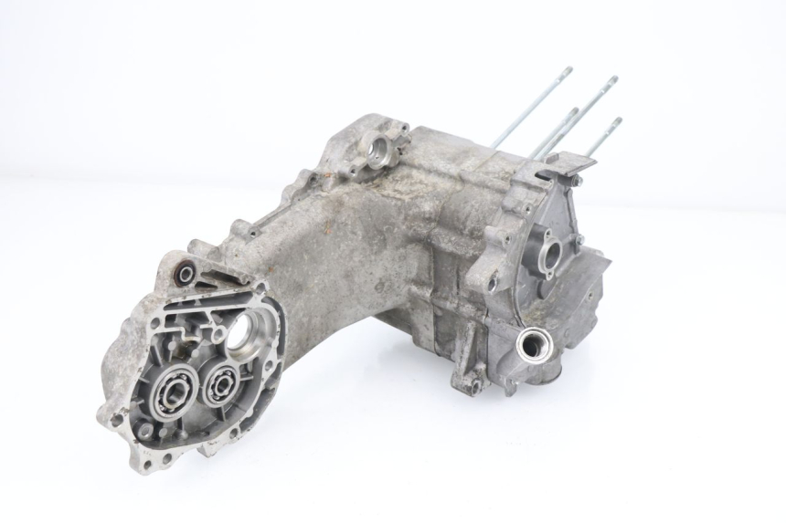 photo de ENGINE CRANKCASE SAMPO LY50QT-21 50 (2009 - 2014)