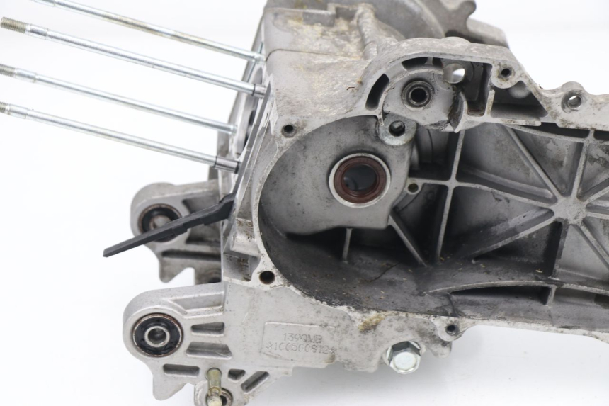 photo de ENGINE CRANKCASE SAMPO LY50QT-21 50 (2009 - 2014)