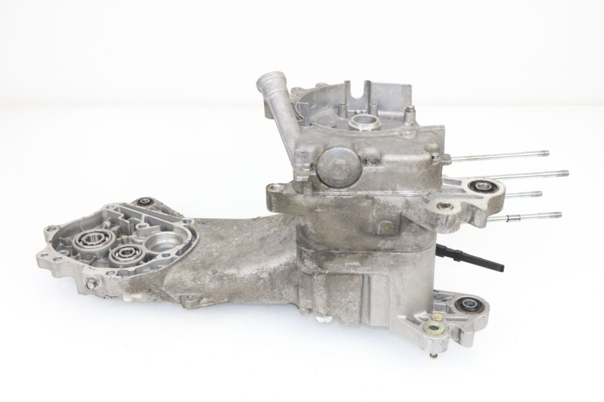 photo de ENGINE CRANKCASE SAMPO LY50QT-21 50 (2009 - 2014)