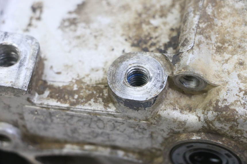 photo de LEFT ENGINE CRANKCASE APOLLO RFZ 125