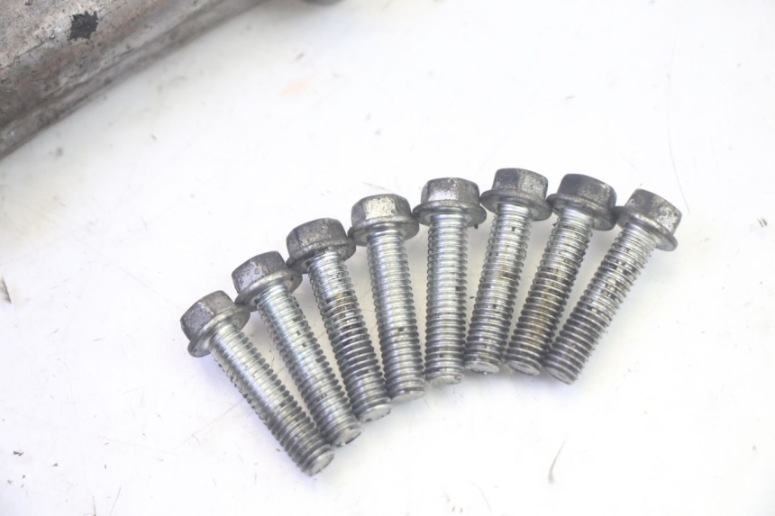 photo de STARTER CLUTCH COVER SUZUKI BURGMAN EXECUTIVE ABS 650 (2006 - 2012) - Technical close-up