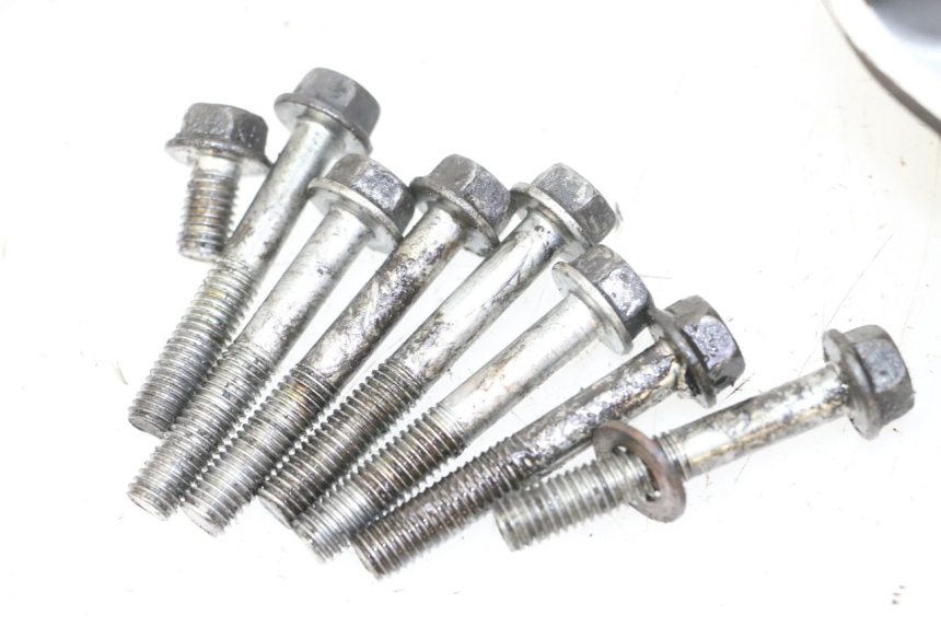 photo de REAR WHEEL SHAFT COVER HONDA FES S-WING SWING ABS 125 (2007 - 2015)