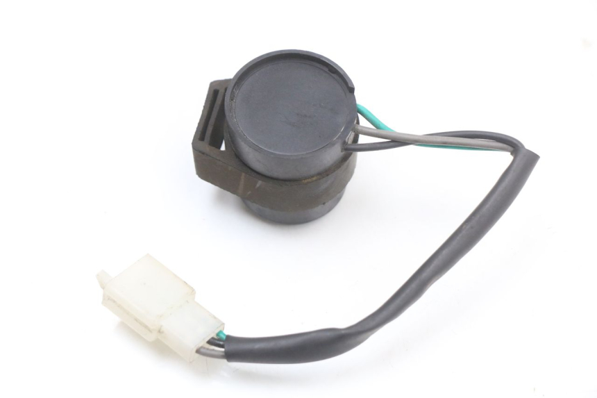photo de TURN SIGNAL RELAY LONGJIA EASY MAX 125 (2020 - 2024)