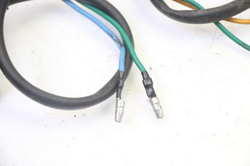 photo de REAR TURN SIGNAL STAHO FH 50 (2018 - 2019)