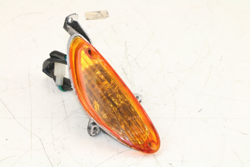 photo de FRONT RIGHT TURN SIGNAL SAMPO LY50QT-21 50 (2009 - 2014)