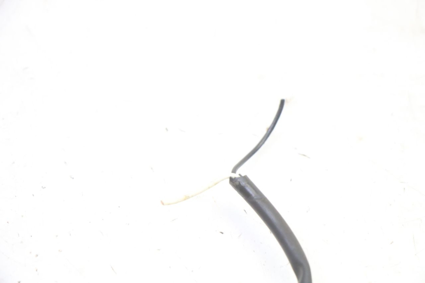 photo de FRONT RIGHT TURN SIGNAL TRIUMPH SPRINT 900 (1995 - 1998)