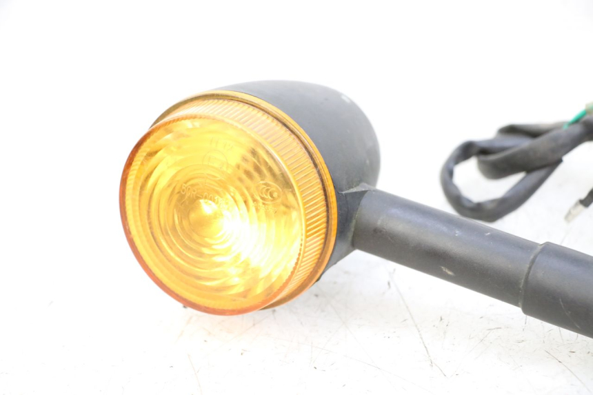 photo de FRONT TURN SIGNAL DOLPHIN PYGMY 1 (2020 - 2024)