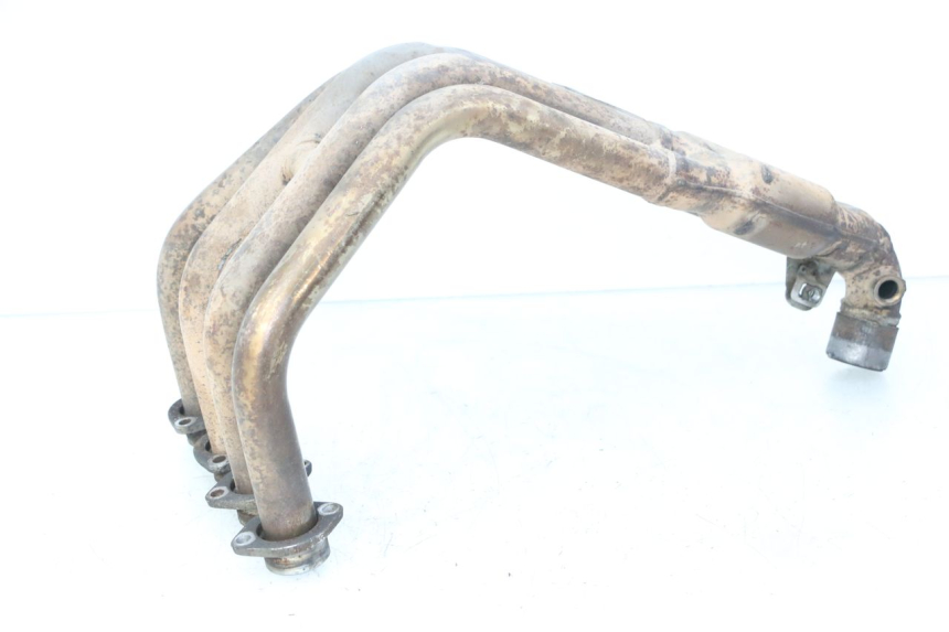 photo de COLLECTOR YAMAHA FZ6 FAZER S2 600 (2007 - 2011)