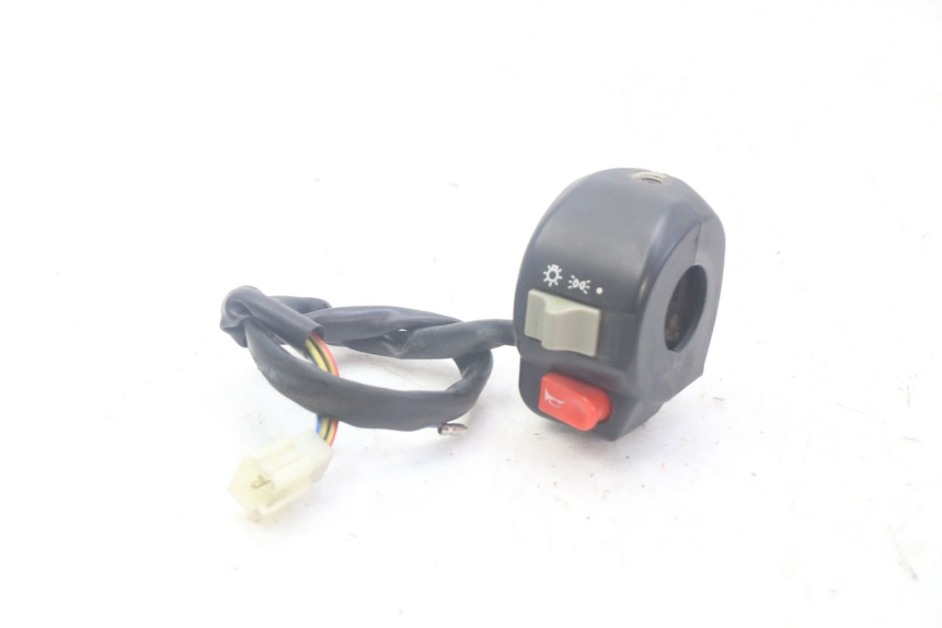 photo de RIGHT SWITCH DOLPHIN PYGMY 1 (2020 - 2024)