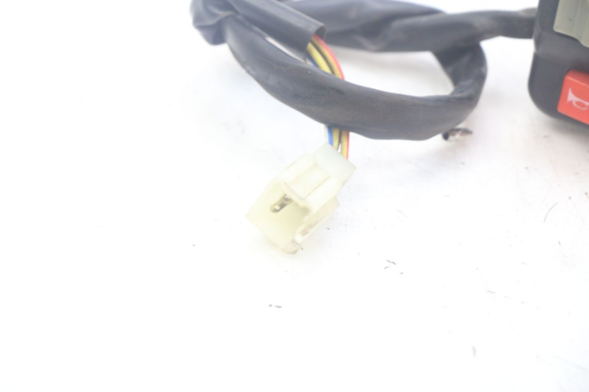 photo de RIGHT SWITCH DOLPHIN PYGMY 1 (2020 - 2024)