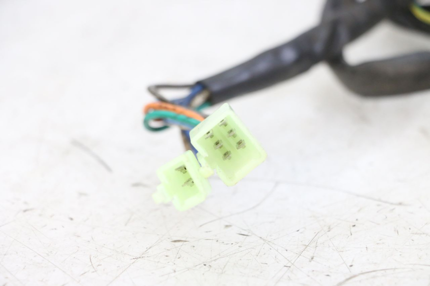 photo de LEFT SWITCH EUROCKA RETRO 50 (2007 - 2014)