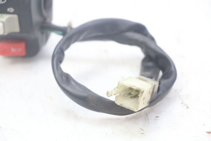 photo de LEFT SWITCH DOLPHIN PYGMY 1 (2020 - 2024)