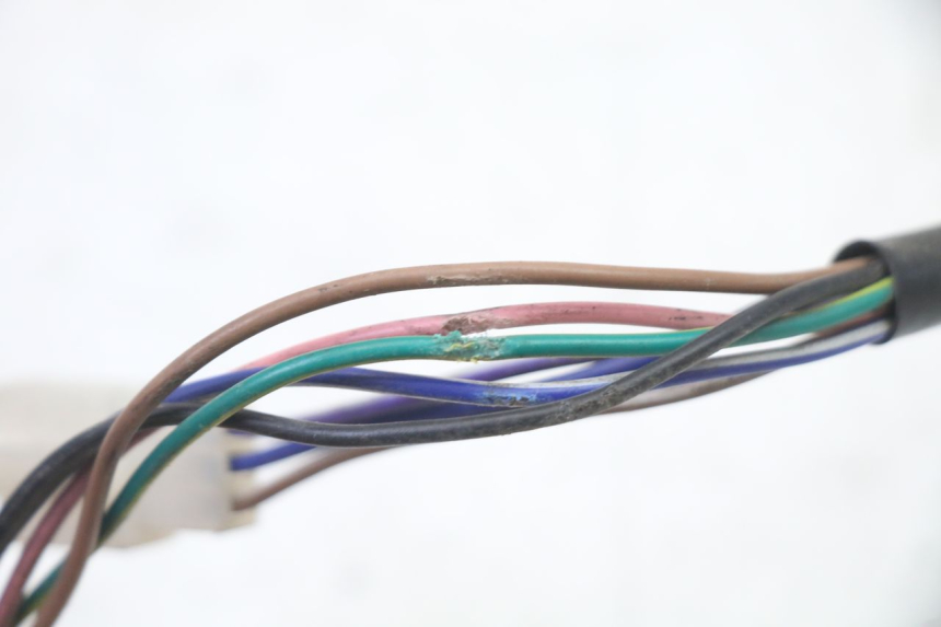 photo de LEFT SWITCH PGO RODOSHOW 2T 50 (2003 - 2007)