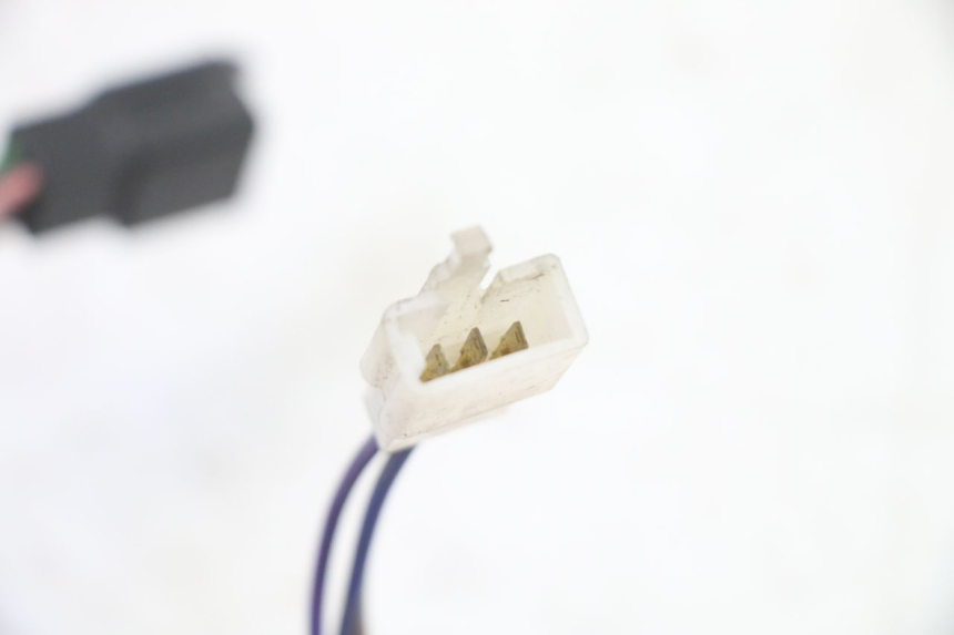 photo de LEFT SWITCH PGO RODOSHOW 2T 50 (2003 - 2007)