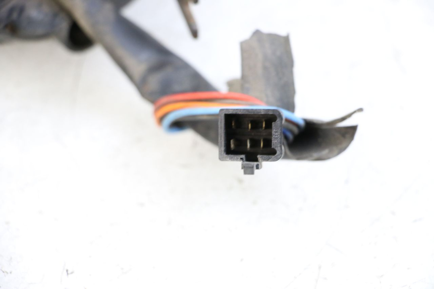 photo de SPEEDOMETER DOLPHIN PYGMY 1 (2020 - 2024)