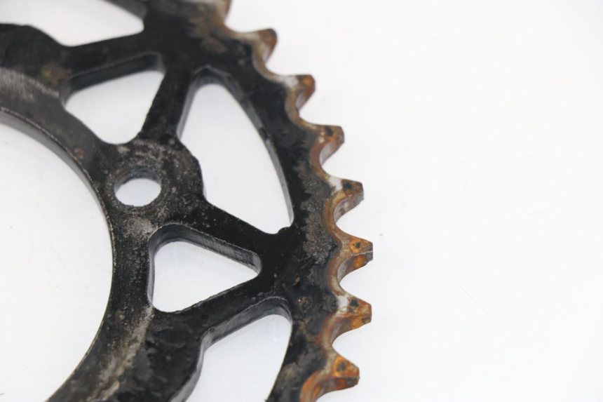 photo de SPROCKET NITRO MOTORS THUNDER 125