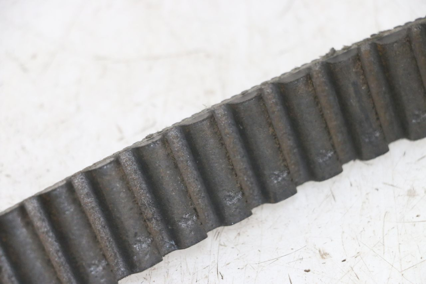 photo de DRIVE BELT HARLEY DAVIDSON SPORTSTER XL CUSTOM 1200 (2003 - 2004)