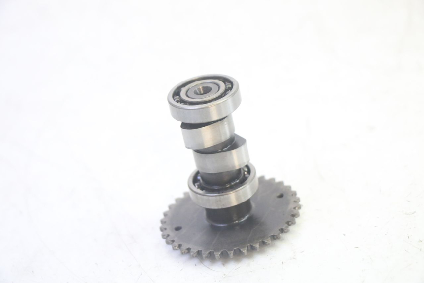 photo de CYLINDER HEAD LONGJIA DIGITA 4T 50 (2019 - 2022) - Detailed visual inspection