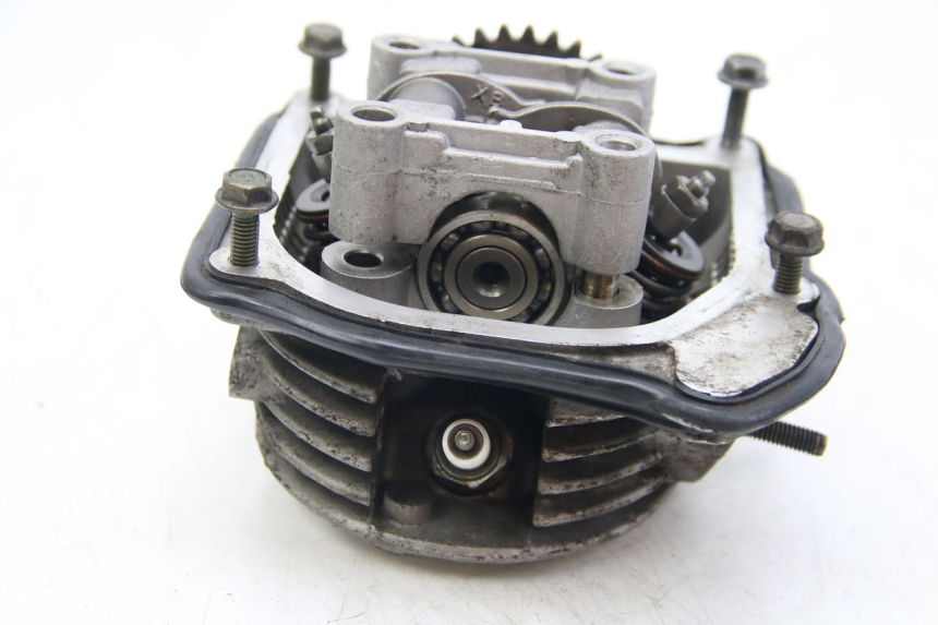 photo de CYLINDER HEAD LONGJIA DIGITA 4T 50 (2019 - 2022)