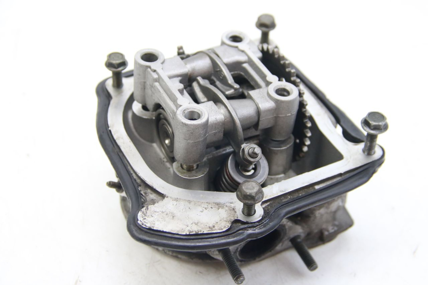 photo de CYLINDER HEAD LONGJIA DIGITA 4T 50 (2019 - 2022)