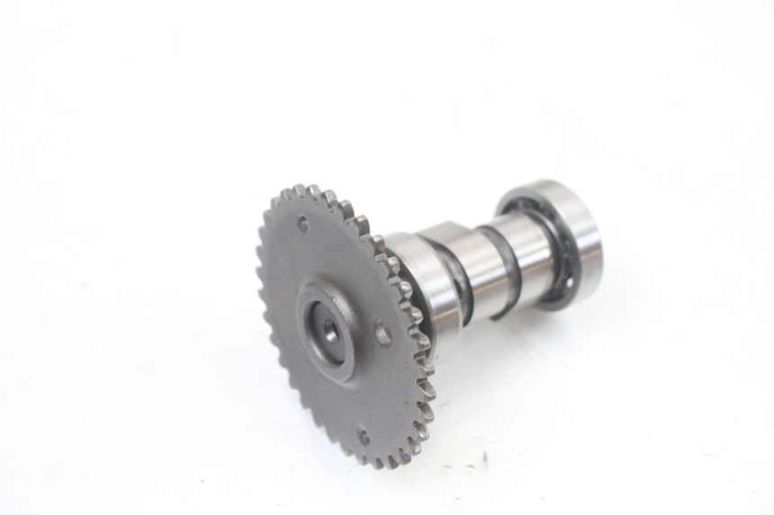 photo de CYLINDER HEAD MASH CITY 4T 50 (2018 - 2020)
