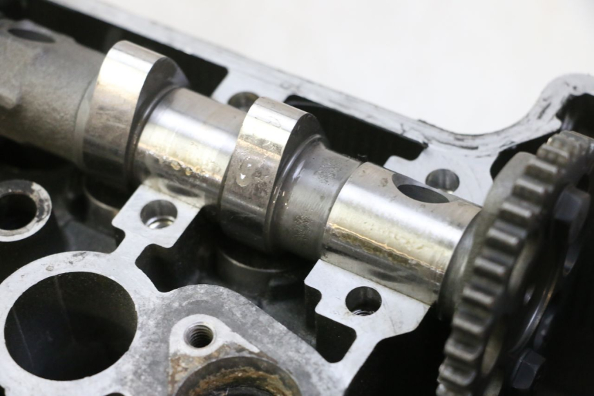 photo de CYLINDER HEAD YAMAHA TDM ABS 900 (2002 - 2014)