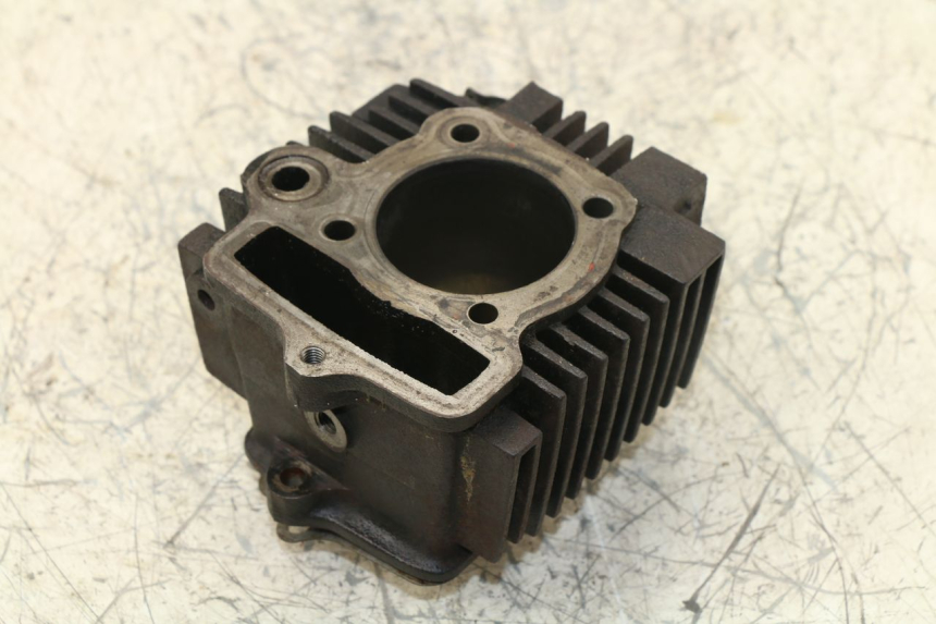 photo de CYLINDER BARREL PANTHERA PANTHERA 110 (2010 - 2017)