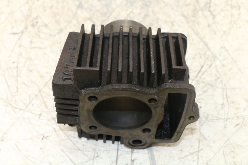 photo de CYLINDER BARREL PANTHERA PANTHERA 110 (2010 - 2017)
