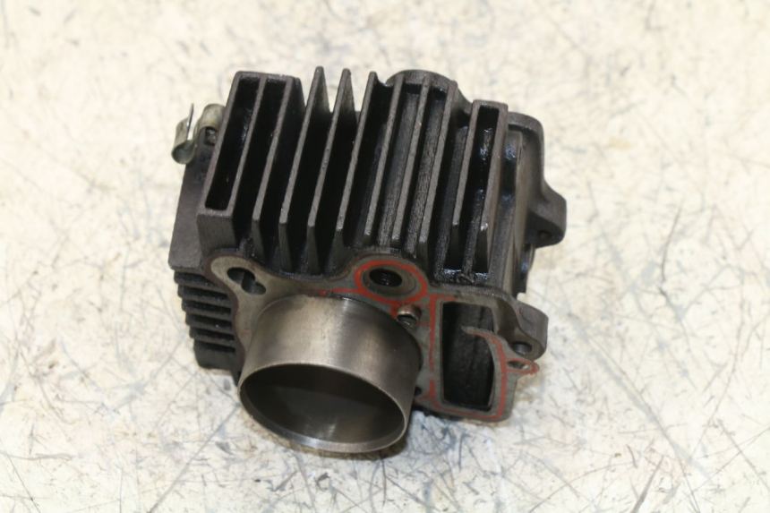 photo de CYLINDER BARREL PANTHERA PANTHERA 110 (2010 - 2017)