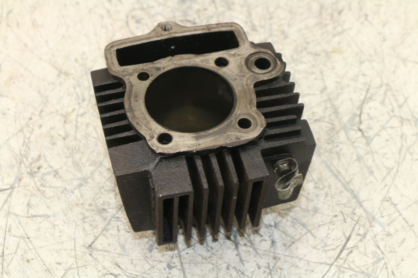 photo de CYLINDER BARREL PANTHERA PANTHERA 110 (2010 - 2017)
